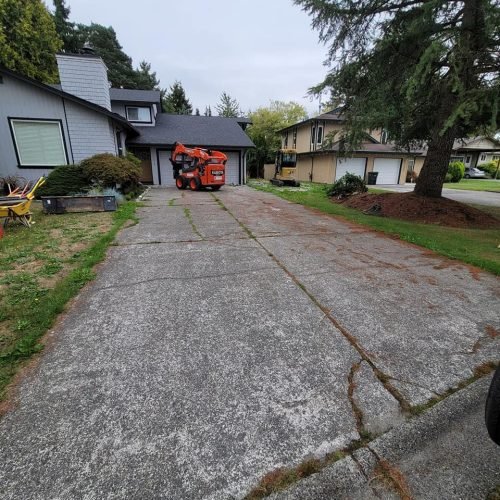 Driveway Before